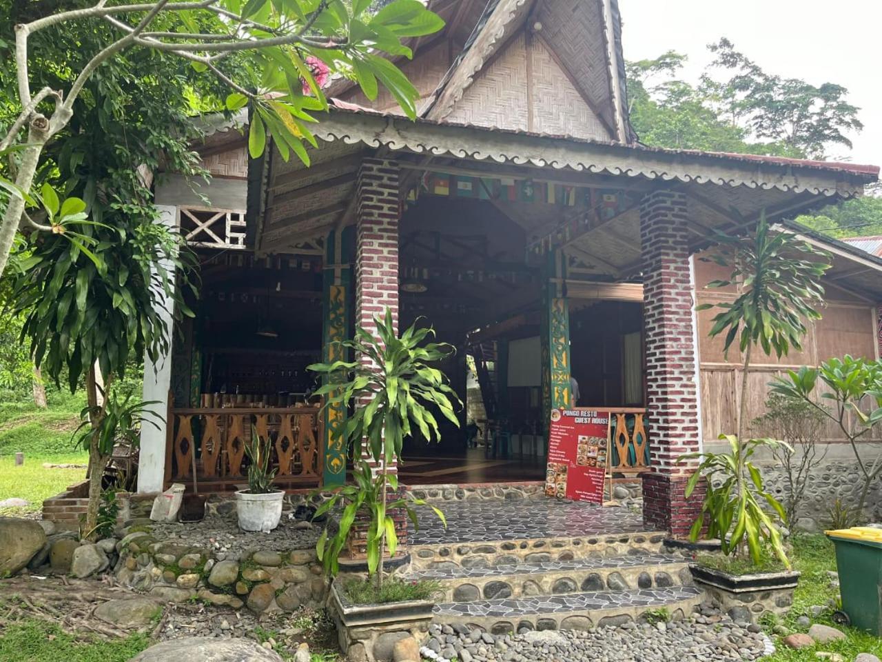 Pongo Guest House & Jungle Trekking Букит-Лаванг Экстерьер фото