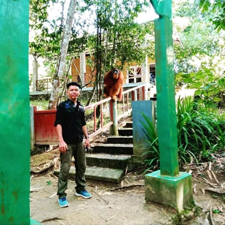 Pongo Guest House & Jungle Trekking Букит-Лаванг Экстерьер фото
