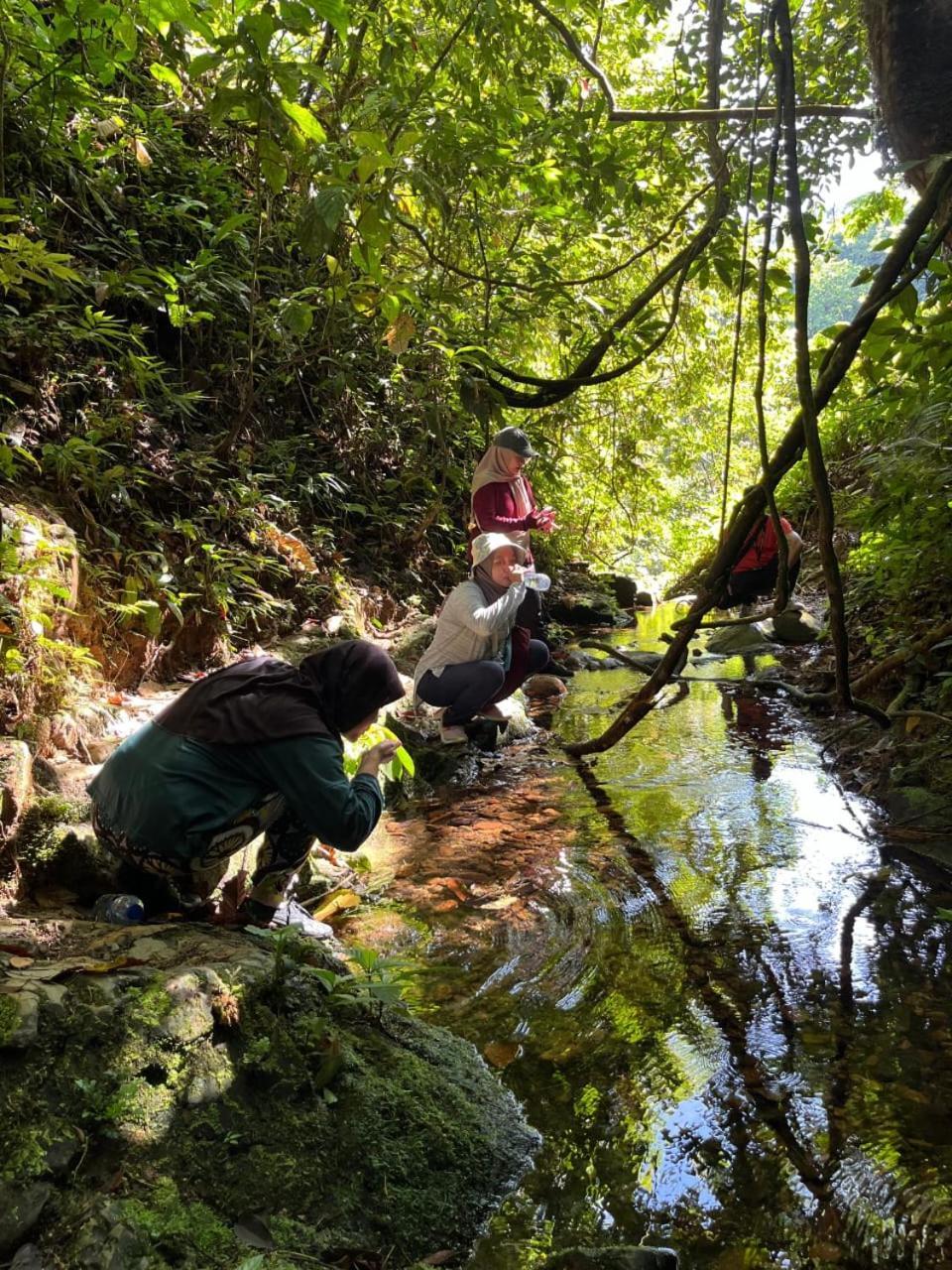 Pongo Guest House & Jungle Trekking Букит-Лаванг Экстерьер фото
