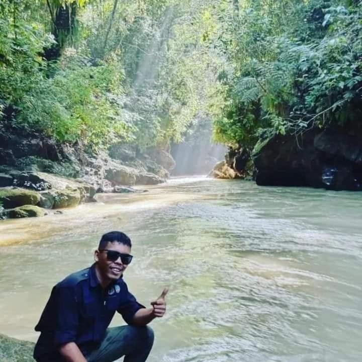 Pongo Guest House & Jungle Trekking Букит-Лаванг Экстерьер фото
