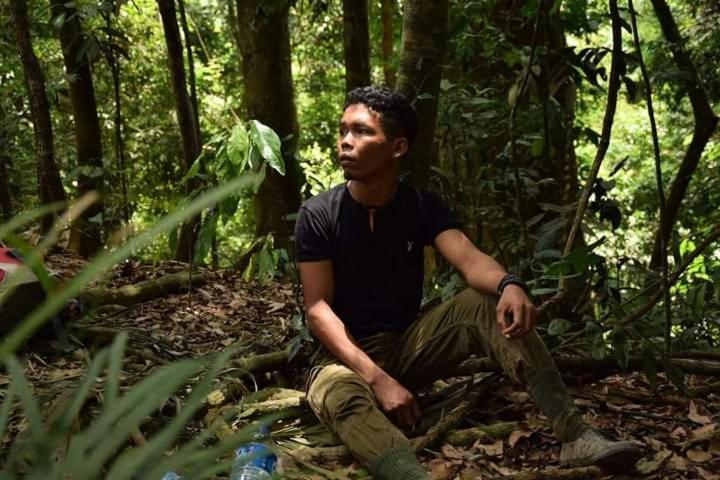 Pongo Guest House & Jungle Trekking Букит-Лаванг Экстерьер фото