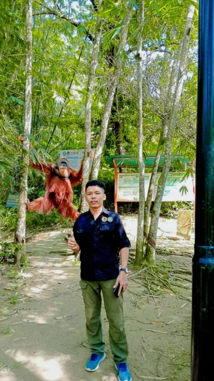 Pongo Guest House & Jungle Trekking Букит-Лаванг Экстерьер фото