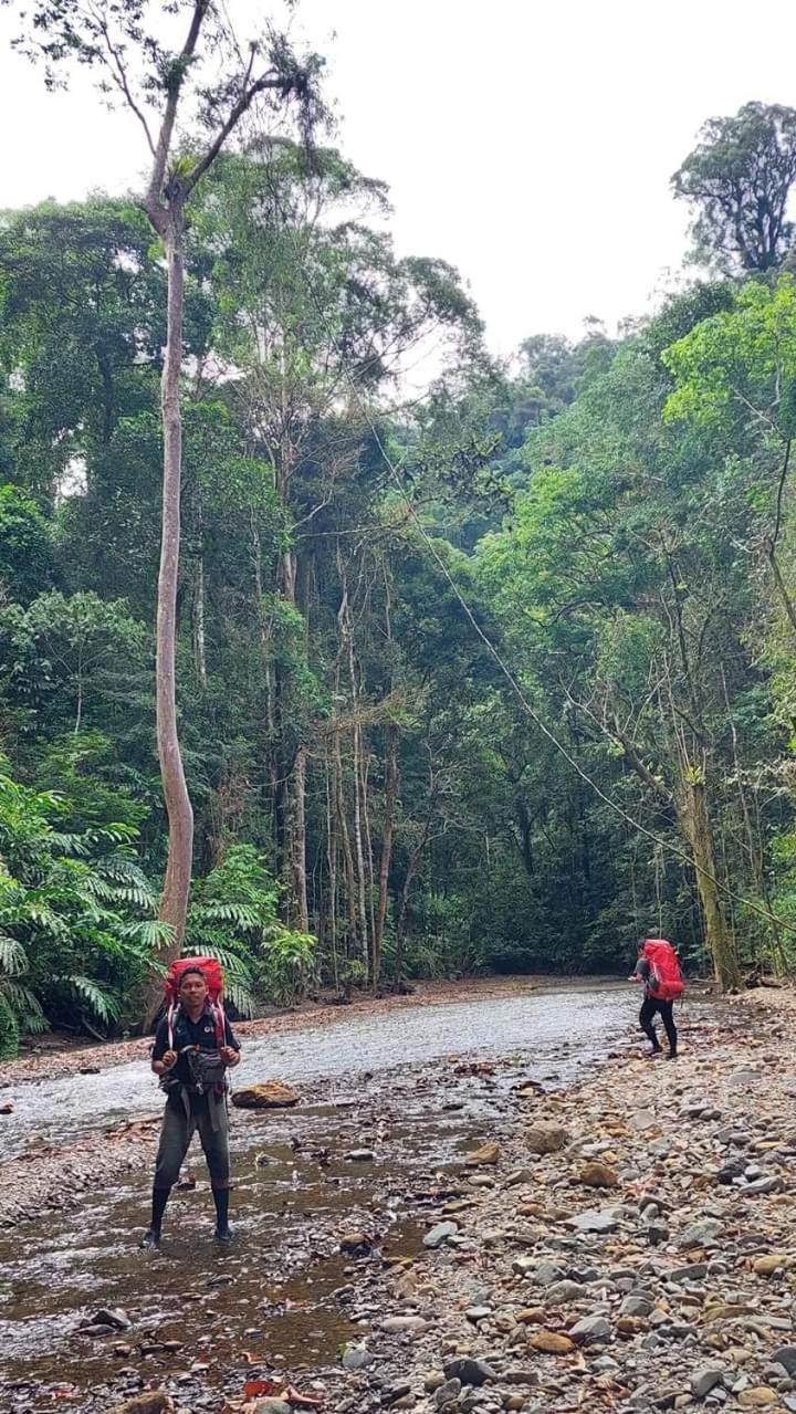 Pongo Guest House & Jungle Trekking Букит-Лаванг Экстерьер фото