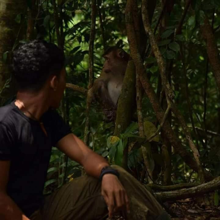 Pongo Guest House & Jungle Trekking Букит-Лаванг Экстерьер фото