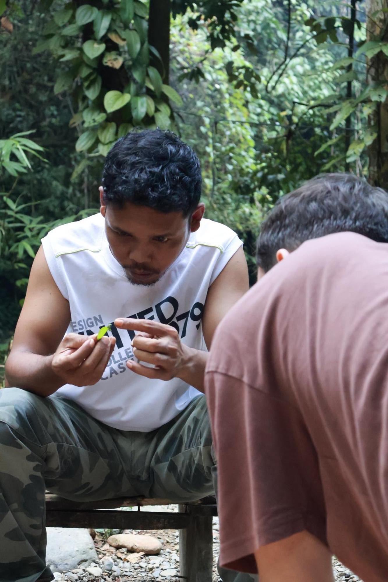 Pongo Guest House & Jungle Trekking Букит-Лаванг Экстерьер фото