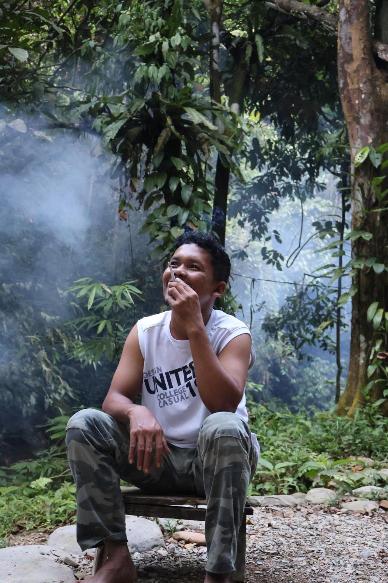Pongo Guest House & Jungle Trekking Букит-Лаванг Экстерьер фото
